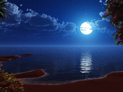 41 Beach Moon Wallpaper On Wallpapersafari