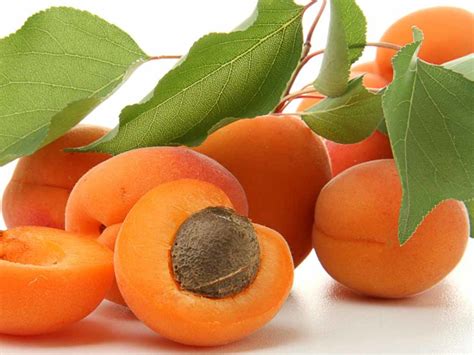 Apricots The Worlds Healthiest Fruit Charismatic Planet