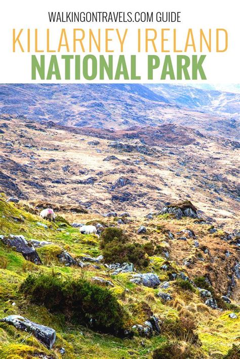 Discover Killarney National Park With This Guide To All Of The Things