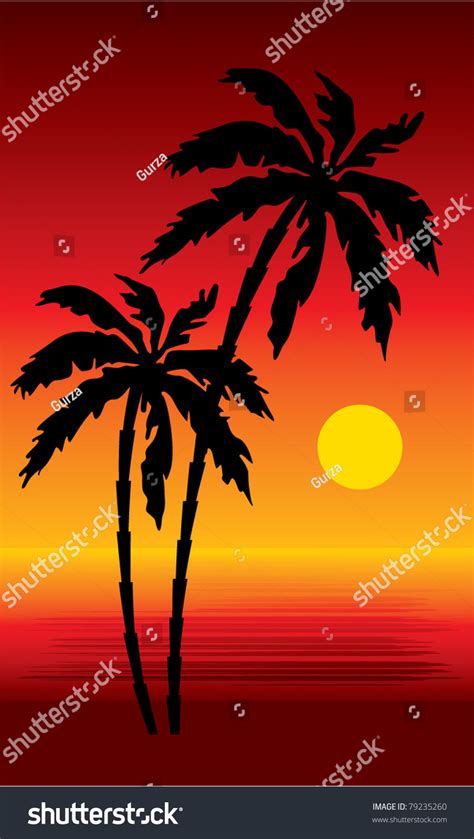 Tropical Beach Palm Treessunset Vector Gradient Stock