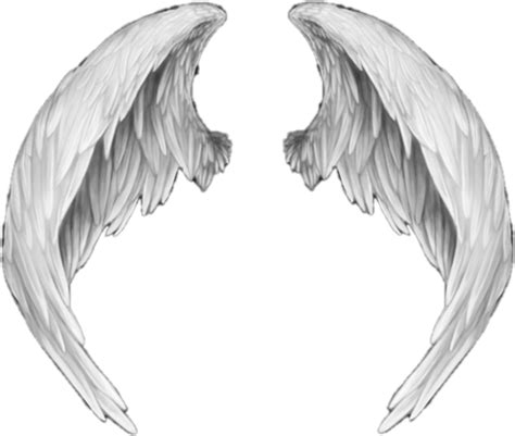 Anime Wings Angel White Freetoedit Sticker By Lexic64