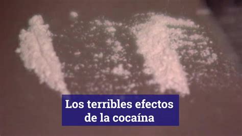 Así Son Los Consumidores De Cocaína