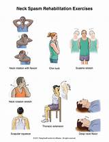 Neck Muscle Exercises Strengthen Pictures