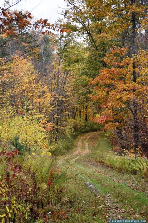 Fall Foliage Report November 2 2017 Enchanted Mountains Of