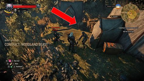 Contract Woodland Beast Witcher 3 Wild Hunt Quest
