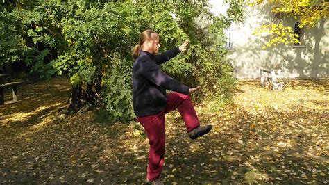 I teach my students to increase their awareness of how the energy undertaking a series of lessons with ron. Tai Chi Form 48 Traditional Yang Style Szelídítsd Nyilazd tigrist Egyenes ostorcsapás VID ...