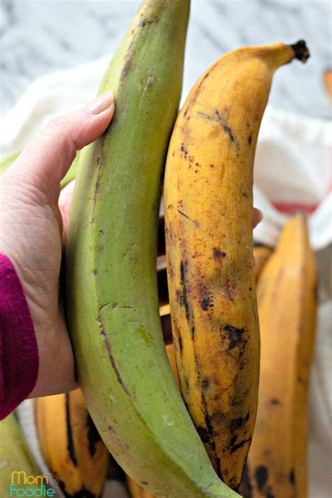 How To Select Ripe Plantains Ripe Plantain Plantains Fried Plantains