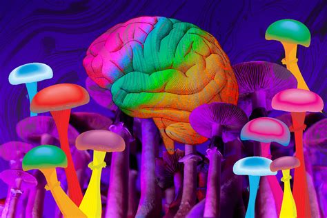 how antidepressants ketamine and psychedelic drugs can flex the brain new research shows