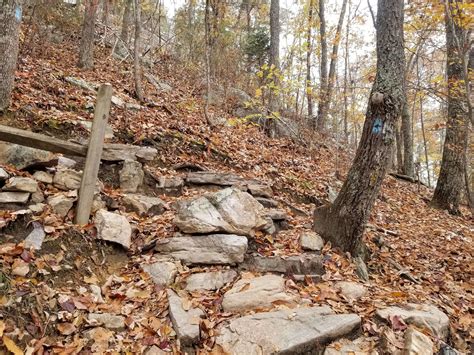 Hiking Knoxvilles House Mountain — Simply Awesome Trips