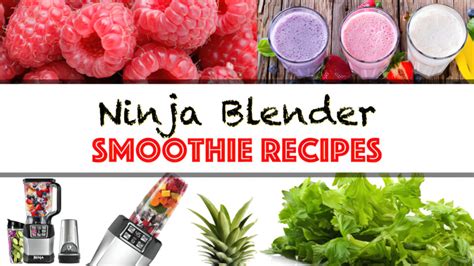28 Healthy Ninja Blender Smoothie Recipes Make Drinks