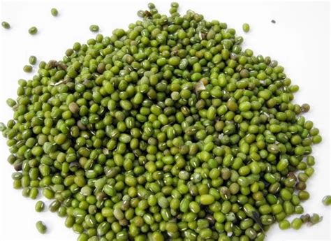 Pokok kacang hijau atau dalam bahasa inggeris mung bean mempunyai nama saintifil (latin) phaseolus radiatus l. Manfaat Kacang Hijau | Manfaat Untuk