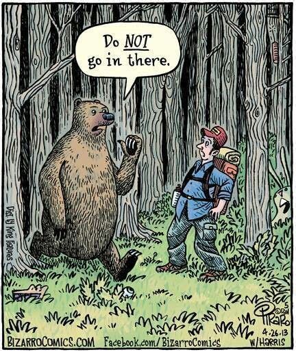 Does A Bearyup Funny Cartoon Pictures Funny Comics Cartoon Jokes