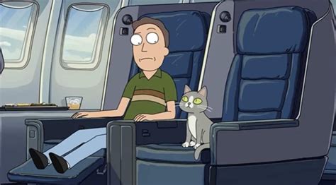 Soldat Initiale Stade Rick And Morty Talking Cat Explained Relatif