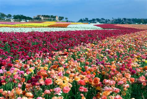 5 Amazing Photography Spots In San Diego Quinceanera