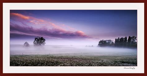 Un Matin De Brume Photo Et Image Paysages Paysages De Campagne