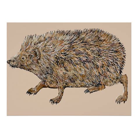 3d Vintage Hedgehog Antique Illustration Poster