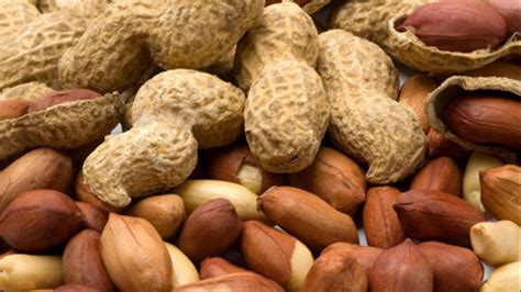 Long Story Short Peanuts Arent Actually Nuts And Heres Why