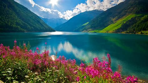 South Tyrol Lake Flowers Imgur