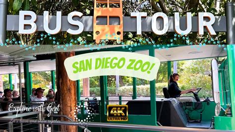 Amazing San Diego Zoo Bus Tour Zoo Bustour Sandiegozoo Sandiego
