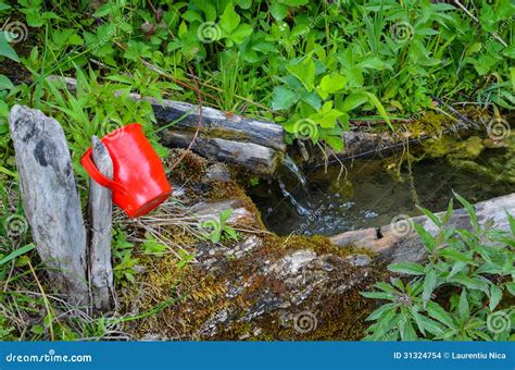 Mountain Water Source Stock Photo Image Of Colorful 31324754