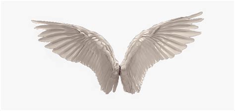 White Wings Png Realistic Angel Wings Png Transparent Png Kindpng