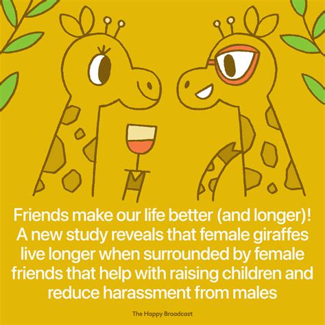Female Giraffes Who Hang Out With Friends Live Longer