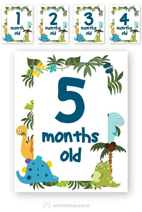 Baby Boy Dinosaur Monthly Milestone Signs Baby Month Stickers
