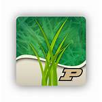 Doctor Purdue Suite Plant App