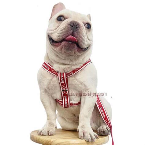 Supreme Dog Harness Supreme Lv No Pull Dog Harness Leashes New 2021
