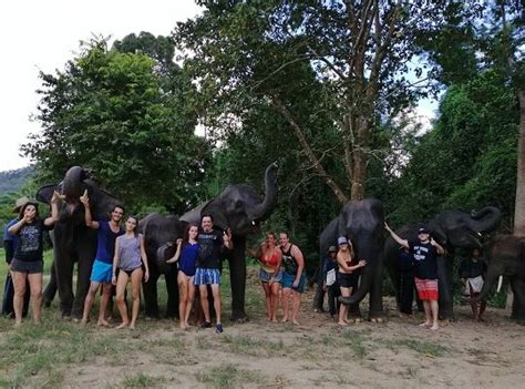 Photos Of Your Day Chiangmai Elephant Home
