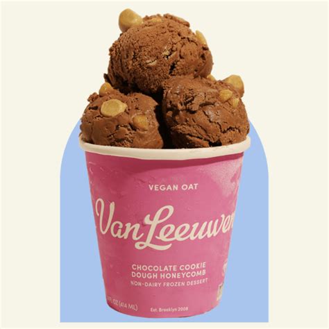 Vegan Choc Chip Cookie Dough Van Leeuwen Ice Cream