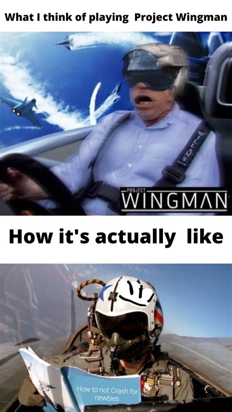Recently Bought Project Wingman And I Realized Hotas Is Better Than My