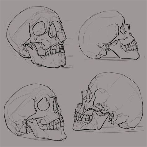 Skullsketches Sketches Skull Drawing