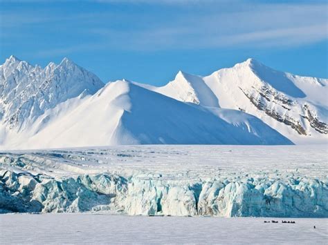 Arctic Wildlife The Big 5 Blog Steppes Travel