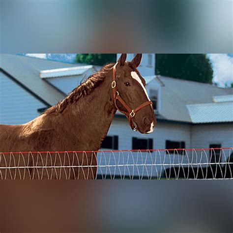 Redbrand V Mesh Fence Ramm Horse Fencing And Stalls
