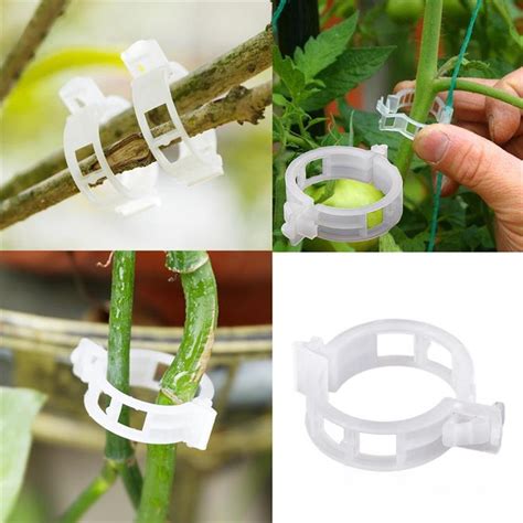 Tomato Hook Clip For Agriculture Greenhouse Buy Tomatoes Hook