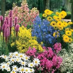 Maybe you would like to learn more about one of these? 100 best images about Perennials on Pinterest | Sun ...