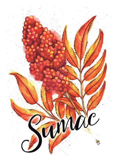 Sumac Watercolor Painting With Calligraphy Painting By Andrea Hill Pixels