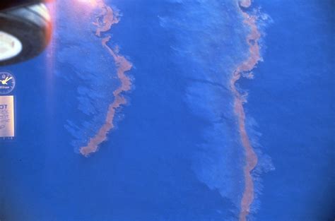 Ixtoc Oil Spill Counterspill