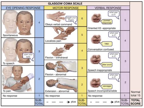 Glasgow Coma Scale Pupil Size Chart