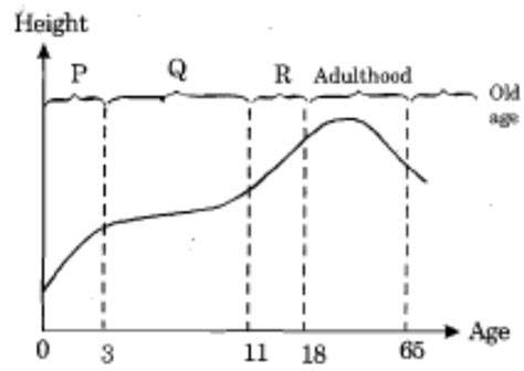 The Figure Below Shows A Human Growth Curve Answer The Questions From