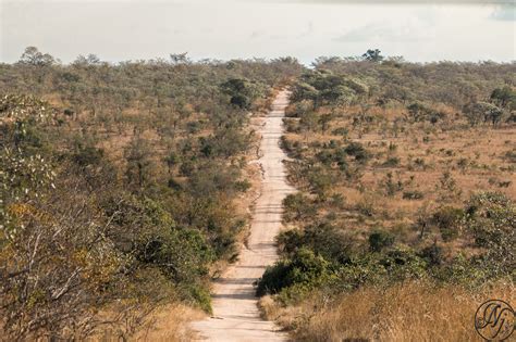 Kruger National Park South Africa On Behance