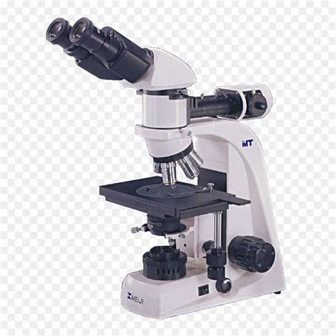 Bright Field Light Microscope Bright 2019 02 01