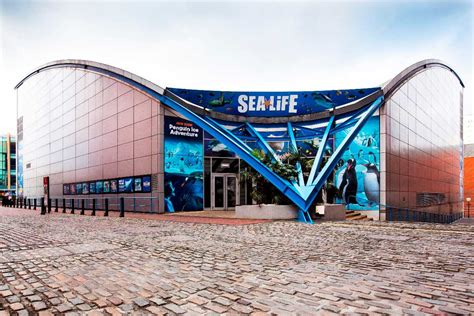 National Sea Life Centre Birmingham Holidify