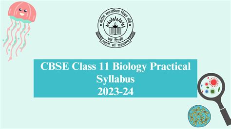 Cbse Class Biology Practical Syllabus Class Th Biology