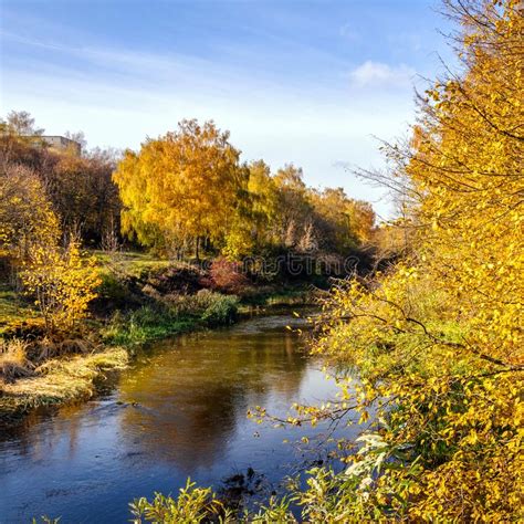 Wonderful Autumn Landscape With Trees In Forest At The River Stock