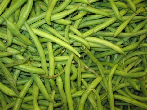 Place in a plastic bag and refrigerate for up to 4 days. How to Cook Green Beans