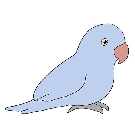 How To Draw An Easy Parrot Easy Drawing Tutorial For Kids