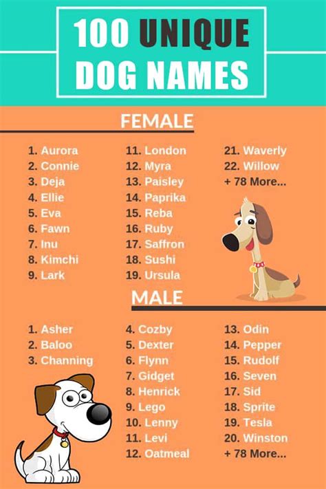 100 Popular Dog Names Male Female Unique Funny Food