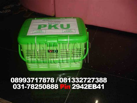 Jadi bukan hasil perkawinan silang. JASA PENGIRIMAN HEWAN MURAH LUAR PULAU ATAU KOTA DARI ...